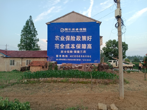 高县墙体广告为何受追捧？